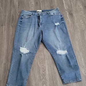 Eloqui capri length jeans